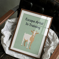 Escape Artist In Training