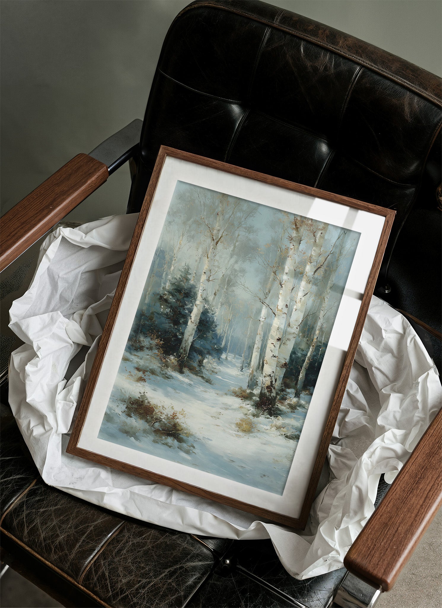 Birch Trail in Winter