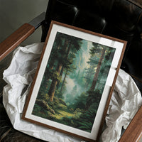 Where the Redwoods Breathe