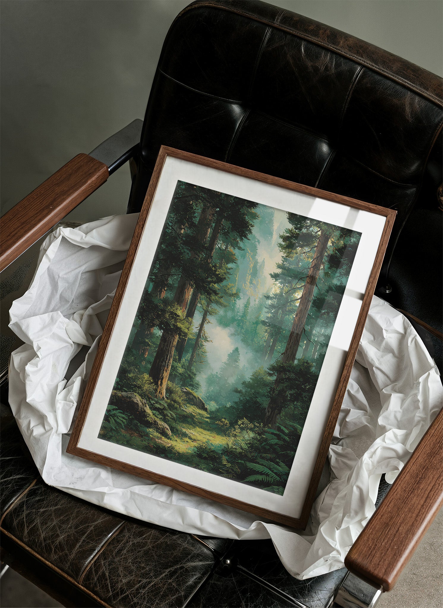 Where the Redwoods Breathe