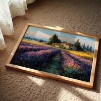 Provence Lavender at Golden Hour