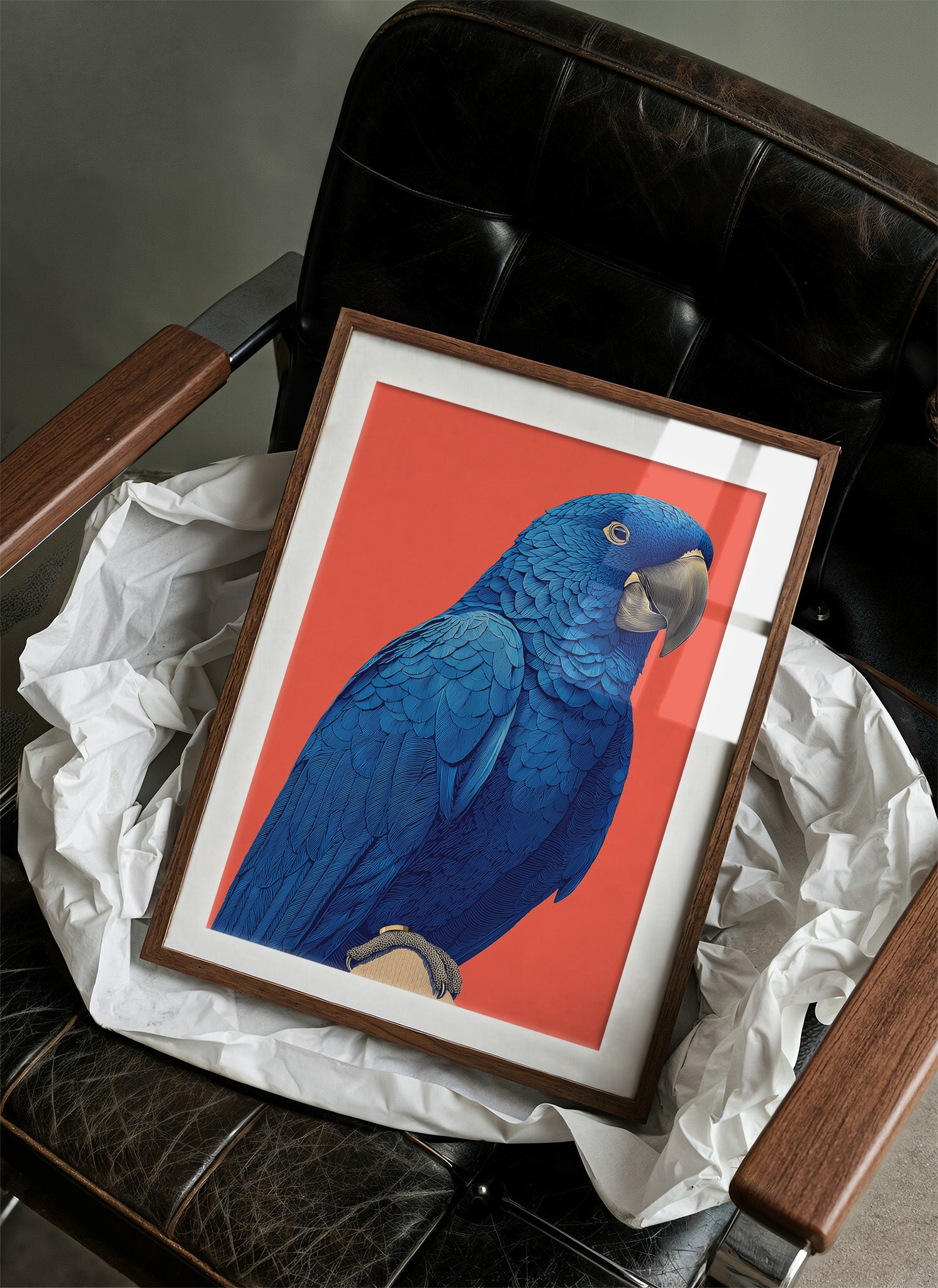 Cobalt Macaw Portrait