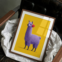 Purple Llama, Pom Pom Attitude