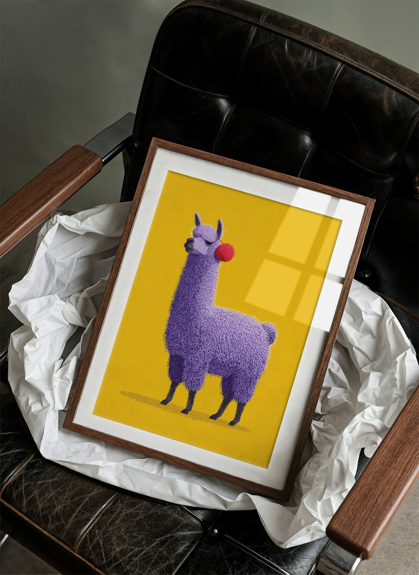 Purple Llama, Pom Pom Attitude