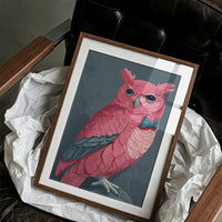 Pink Owl, Dapper in Blue