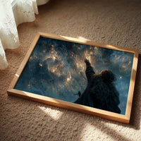 Reaching for the Starlit Sky