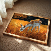 Fawn Snacking, Do Not Disturb