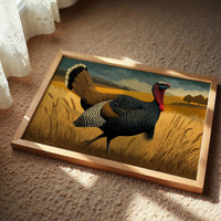 Turkey Strutting, Fully Unaware of November
