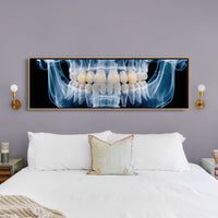 Dental X Ray Close Up