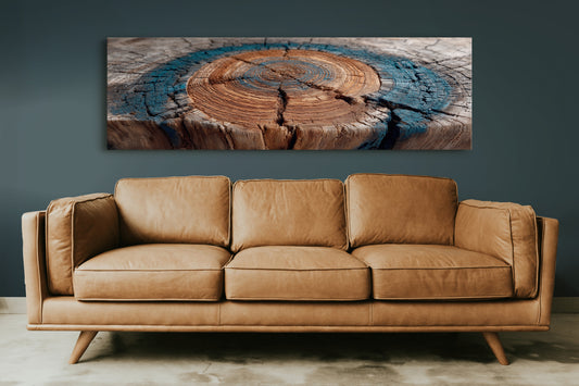 Ancient Tree Rings of Time