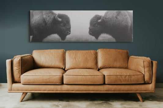 Silent Strength Of The American Bison