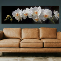White Orchids In Midnight Bloom