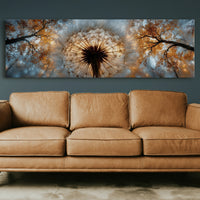Dandelion Halo In Autumn Light