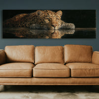 Resting Leopard Reflection