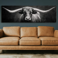 Black and White Longhorn Portrait on Dark Background
