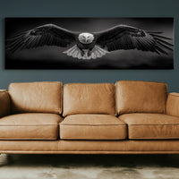 Wings Over the Dark Horizon