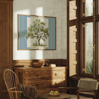 Weathered Olive Tree Study