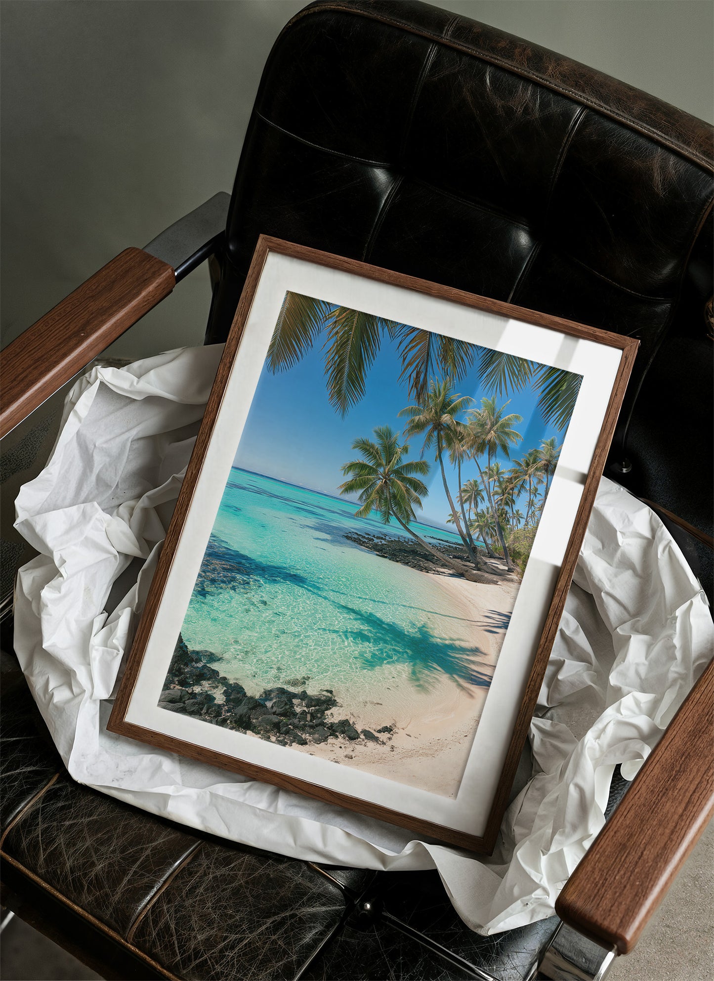 Palm Trees, Zero Regrets