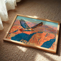 Red-Tail Over the Canyon