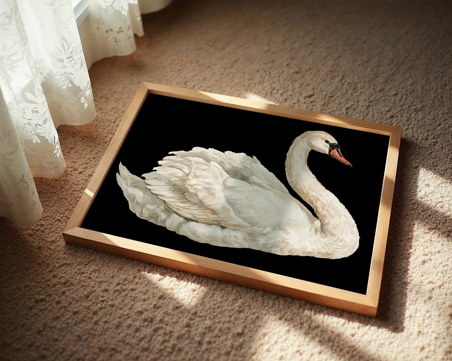 Swan, Study in White