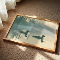 Loons, Misty Dawn Ripples