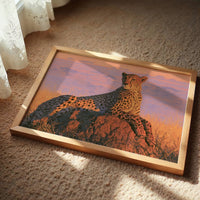 Cheetah, Termite Mound Perch