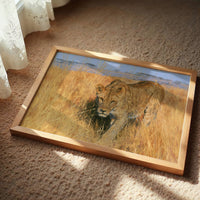 Lioness, Golden Grass Approach