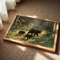 Black Bear Family, Dappled Trail