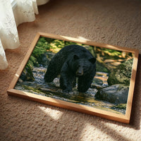 Black Bear at the Water's Edge