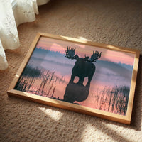 Bull Moose at First Light