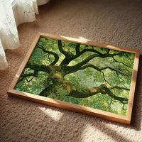 Beneath the Emerald Canopy