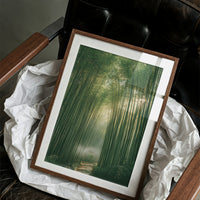 Misty Bamboo Forest Pathway