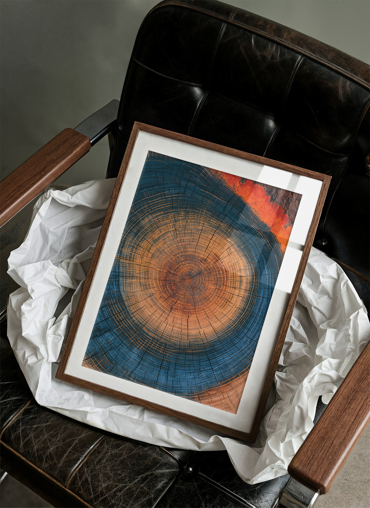 Cosmic Tree Ring Cross Section