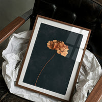 Dried Hydrangea Dark Still Life