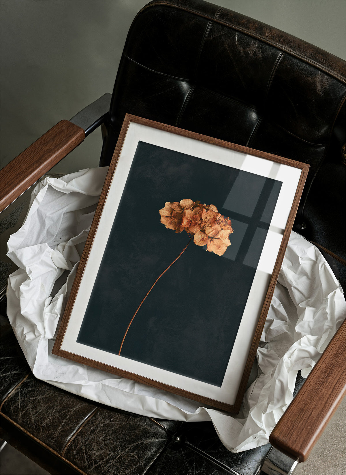 Dried Hydrangea Dark Still Life