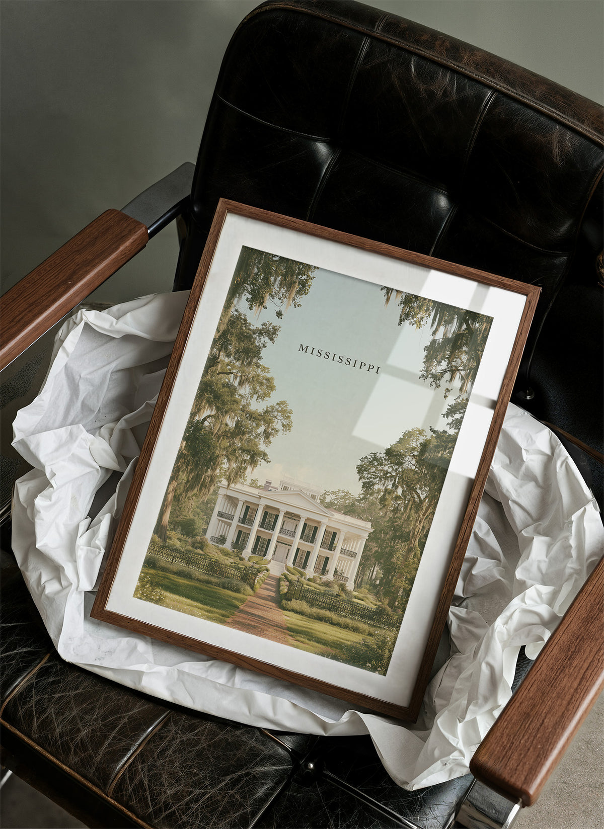 Antebellum Mansion Oak Alley
