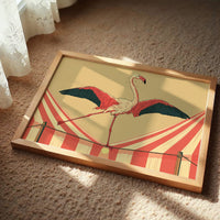 Flamingo Tightrope Circus Act