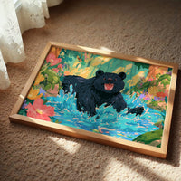 Black Bear Splashes Through Bloom