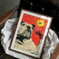Bulldog Versus Fly Standoff