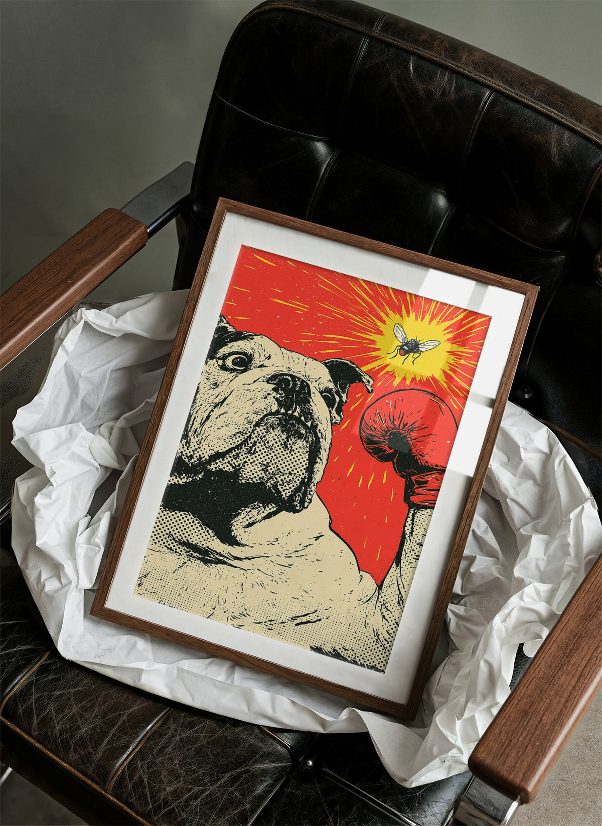 Bulldog Versus Fly Standoff