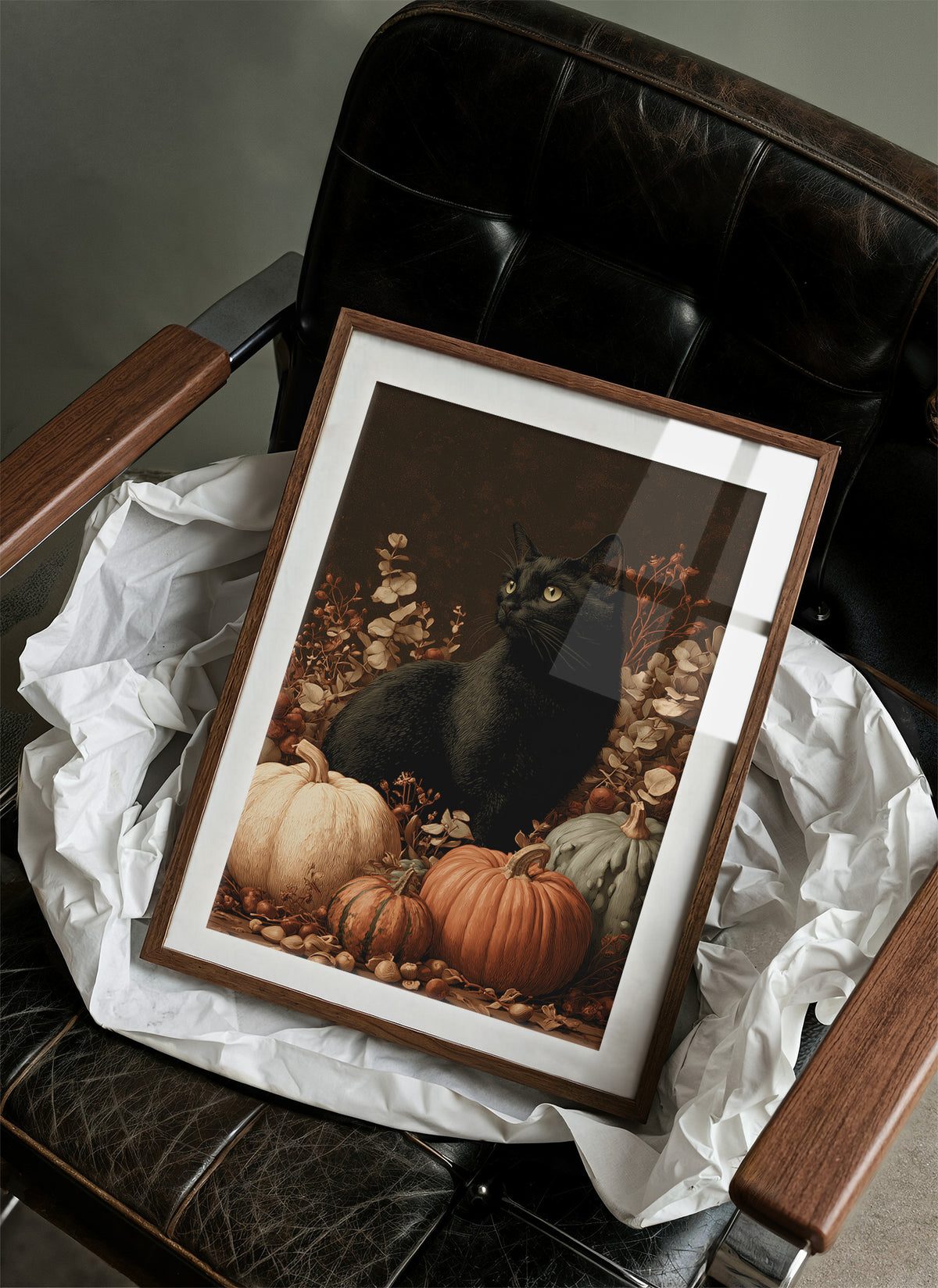 Black Cat and the Heirloom Pumpkins