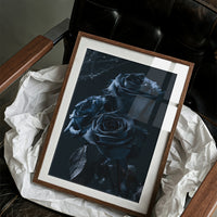 Midnight Blue Roses, Cobwebbed