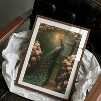 Peacock Beneath the Rose Arch
