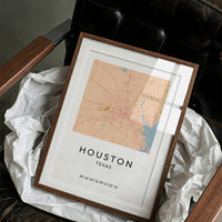 Houston, Mapped in Amber