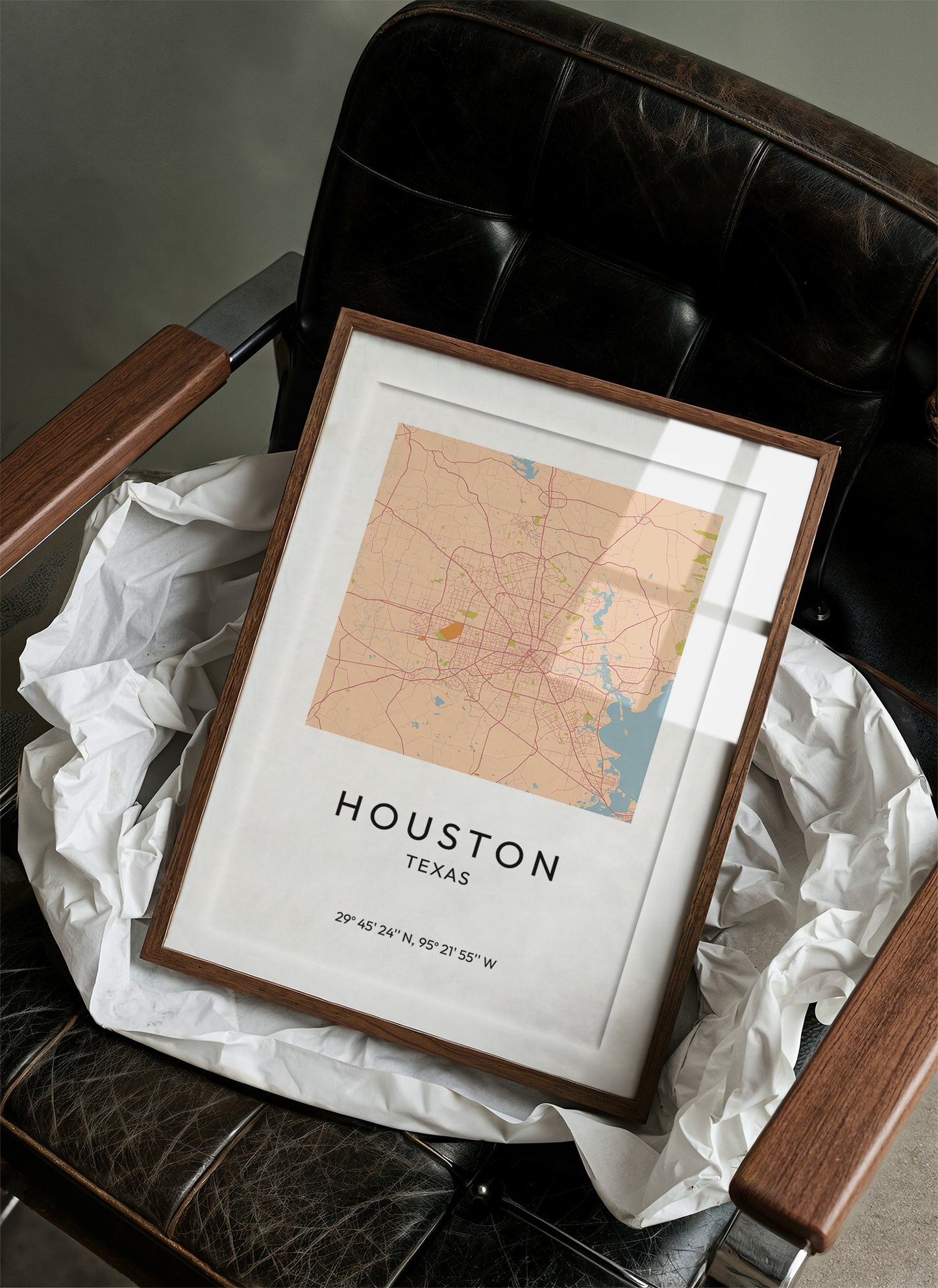 Houston, Mapped in Amber