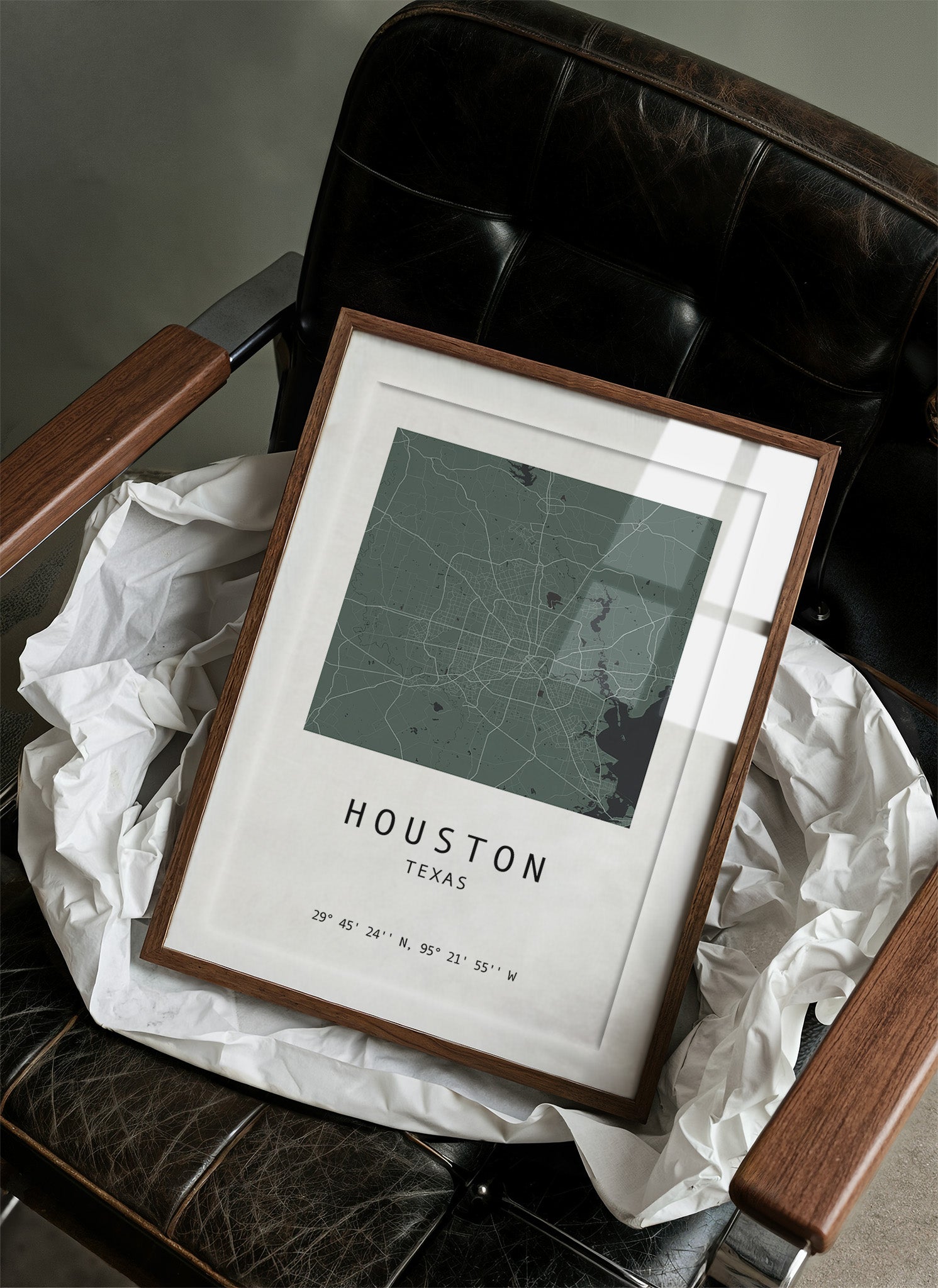 Houston, Mapped in Sage