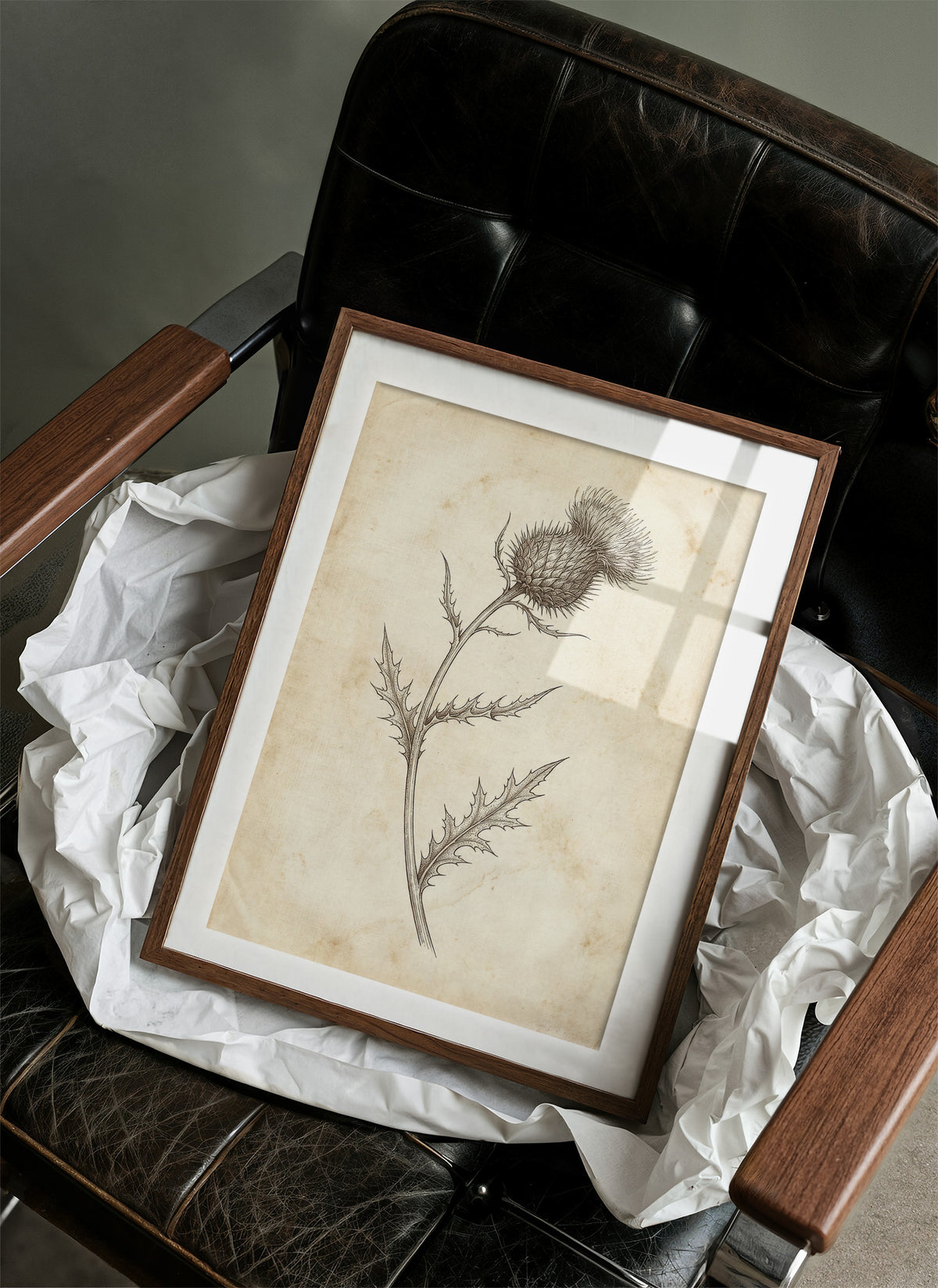 Thistle Study — Vintage Pen and Ink Botanical Print