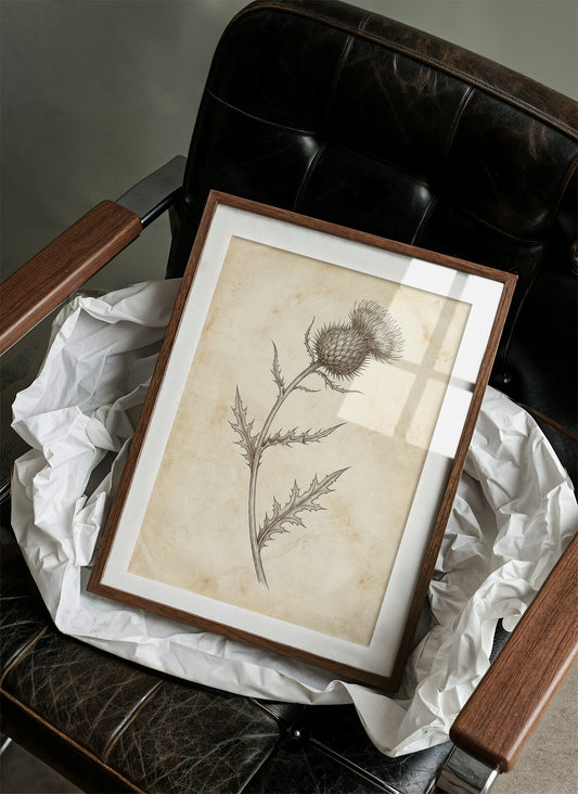 Thistle Study — Vintage Pen and Ink Botanical Print