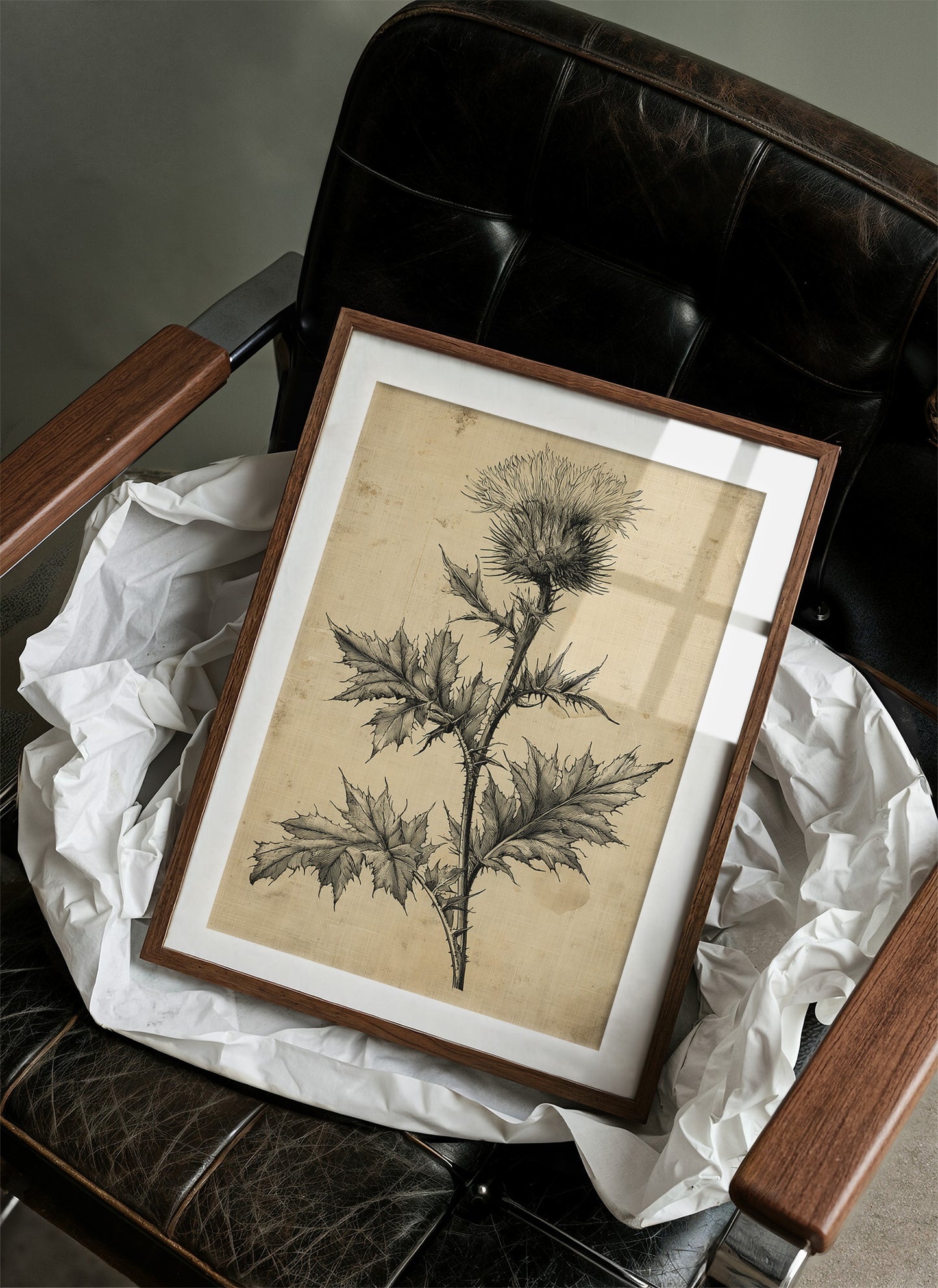 Thistle Study — Heavy Crosshatch Botanical Engraving