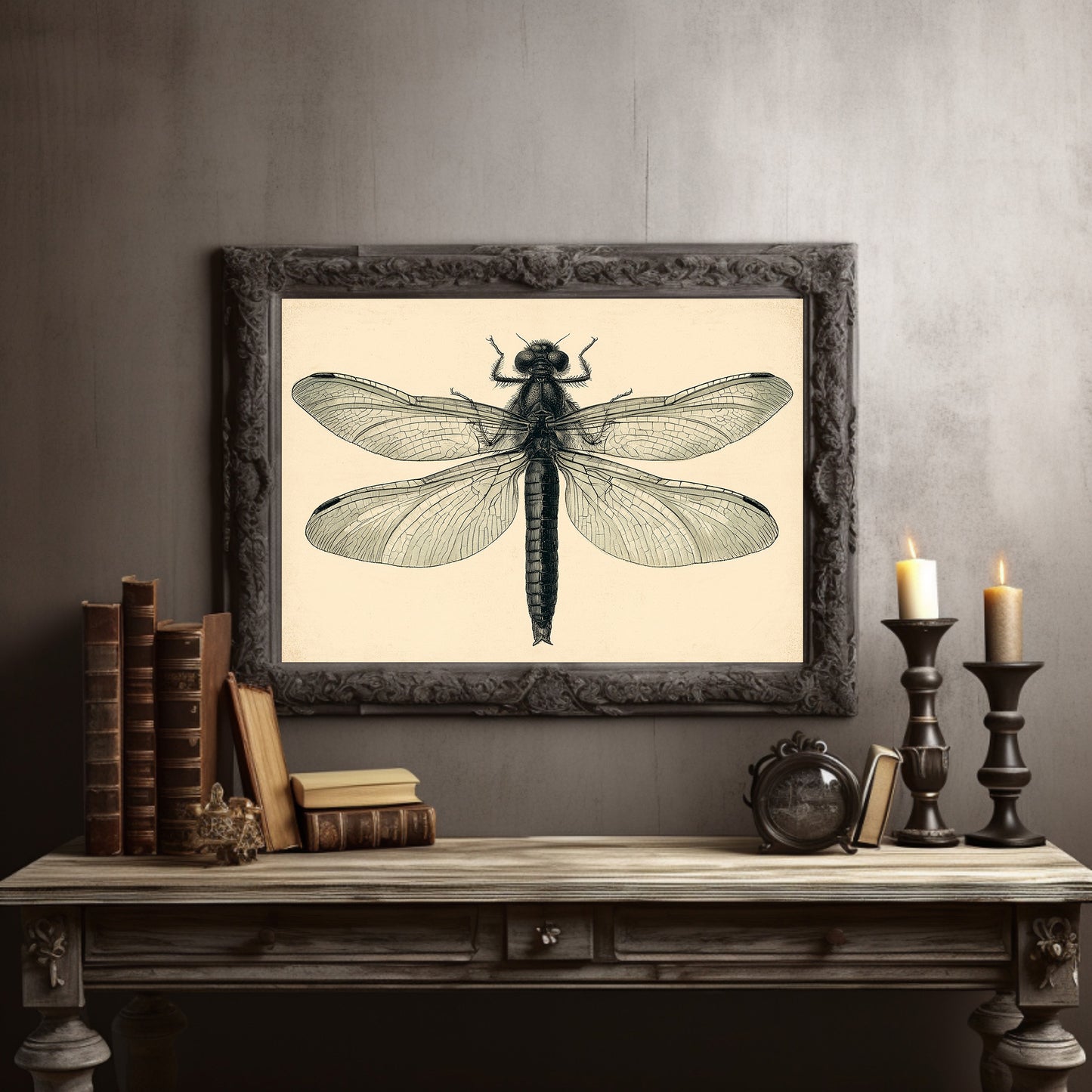 Dragonfly Anatomy Study